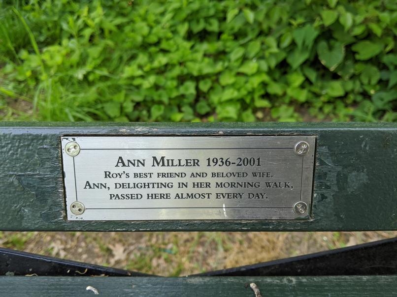 I saw this bench in Central Park