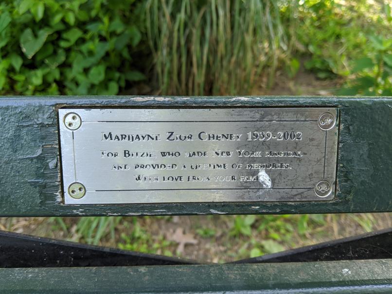 I saw this bench in Central Park