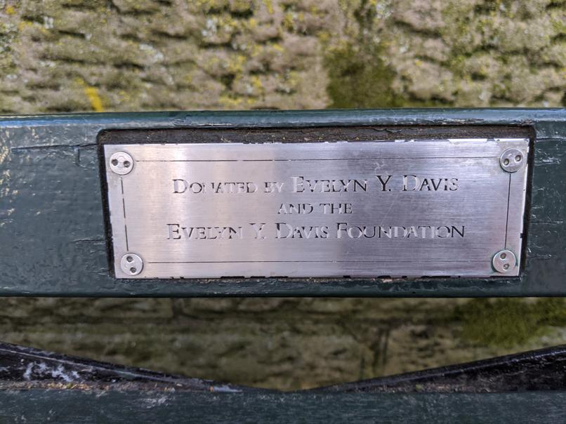 I saw this bench in Central Park