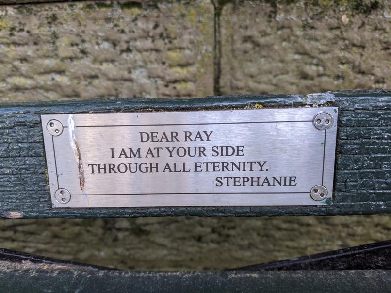 I saw this bench in Central Park