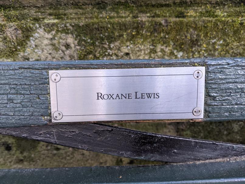 I saw this bench in Central Park