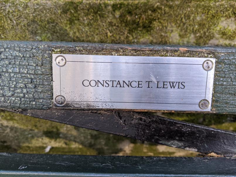 I saw this bench in Central Park