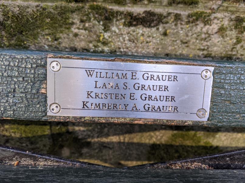 I saw this bench in Central Park