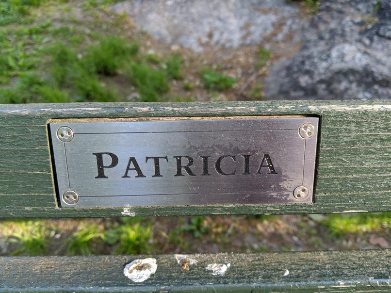 I saw this bench in Central Park