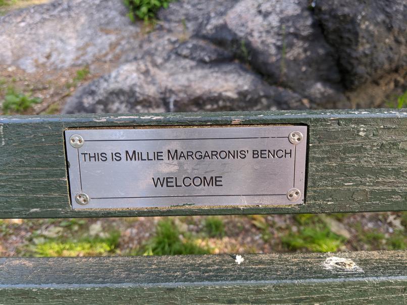 I saw this bench in Central Park