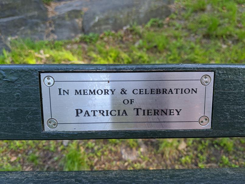 I saw this bench in Central Park