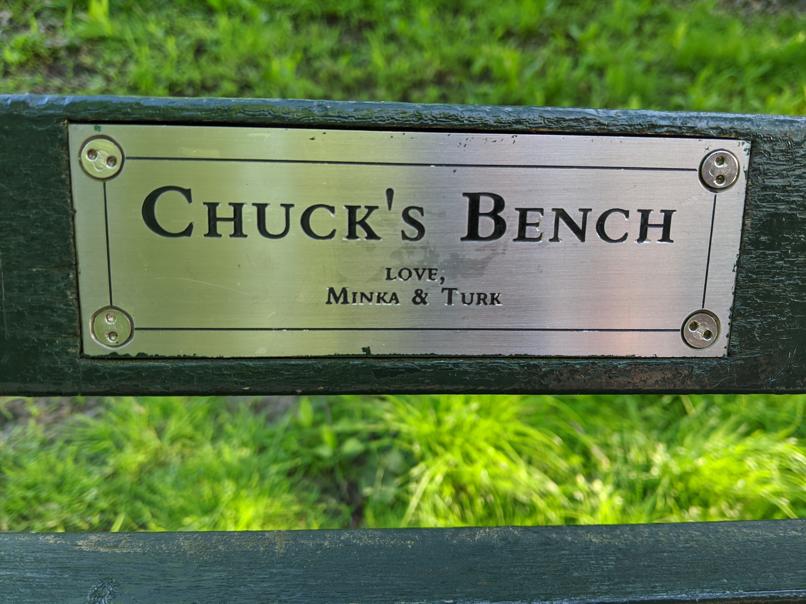 I saw this bench in Central Park