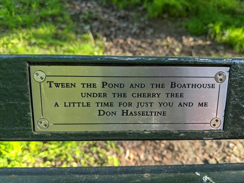 I saw this bench in Central Park