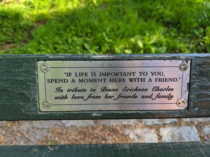 I saw this bench in Central Park