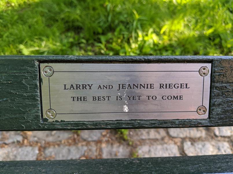 I saw this bench in Central Park