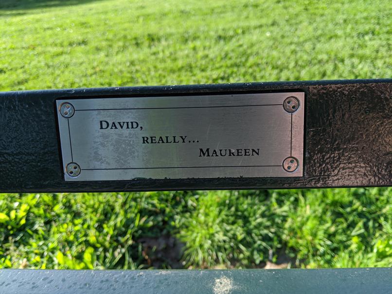 I saw this bench in Central Park