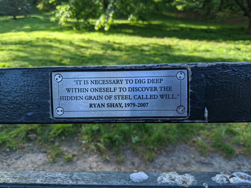 I saw this bench in Central Park