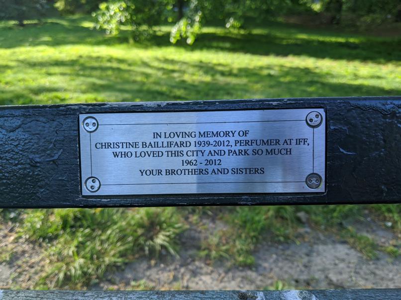 I saw this bench in Central Park