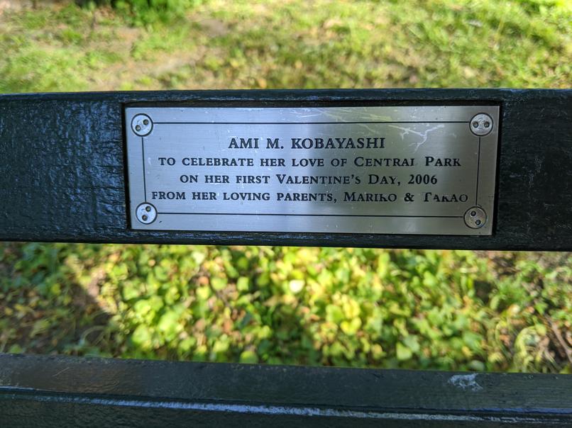 I saw this bench in Central Park