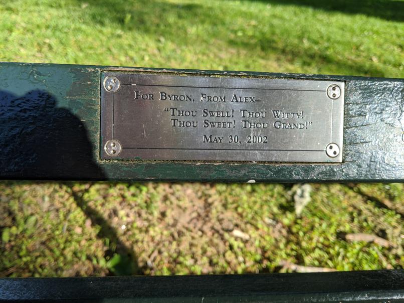 I saw this bench in Central Park