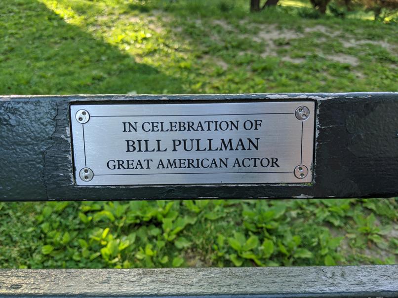 I saw this bench in Central Park