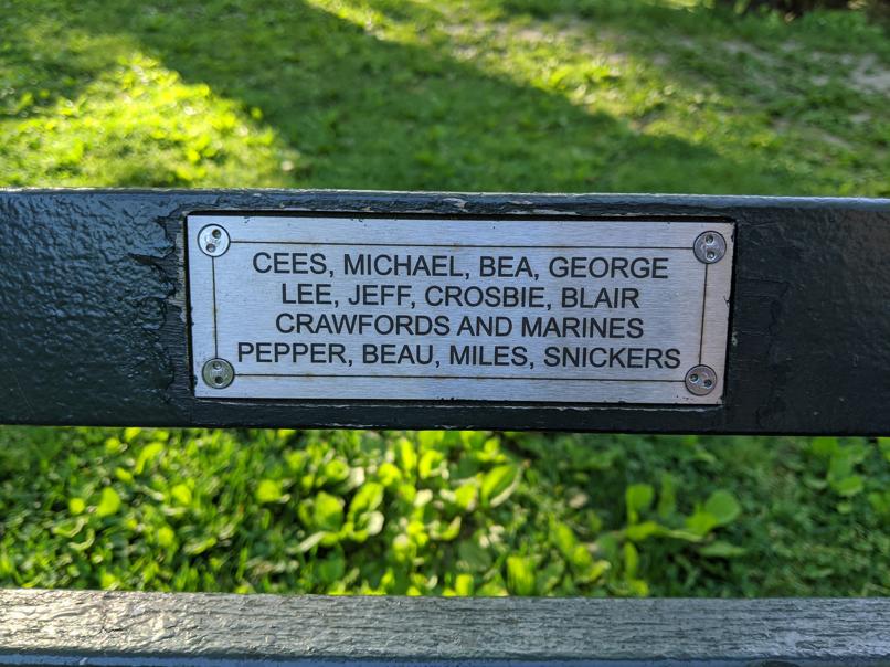 I saw this bench in Central Park