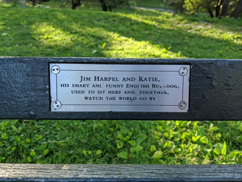 I saw this bench in Central Park