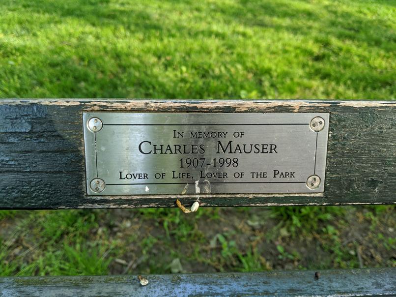 I saw this bench in Central Park