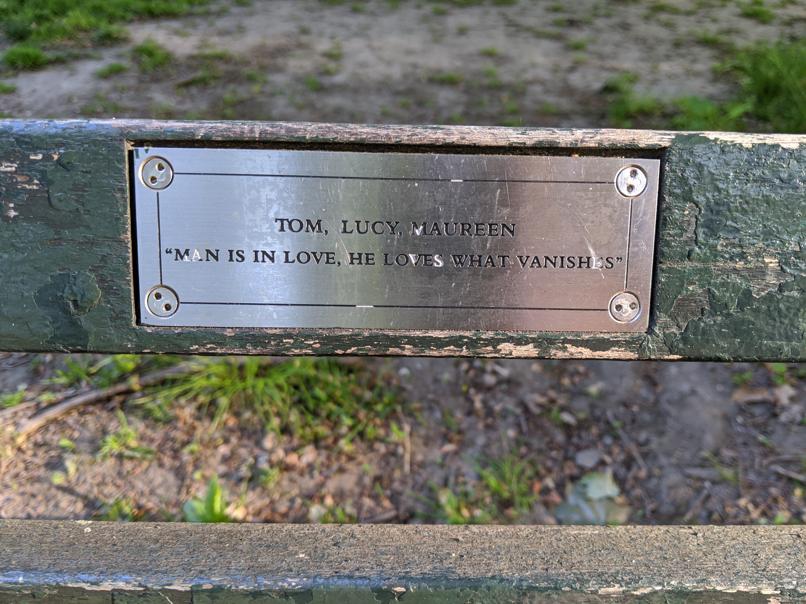 I saw this bench in Central Park