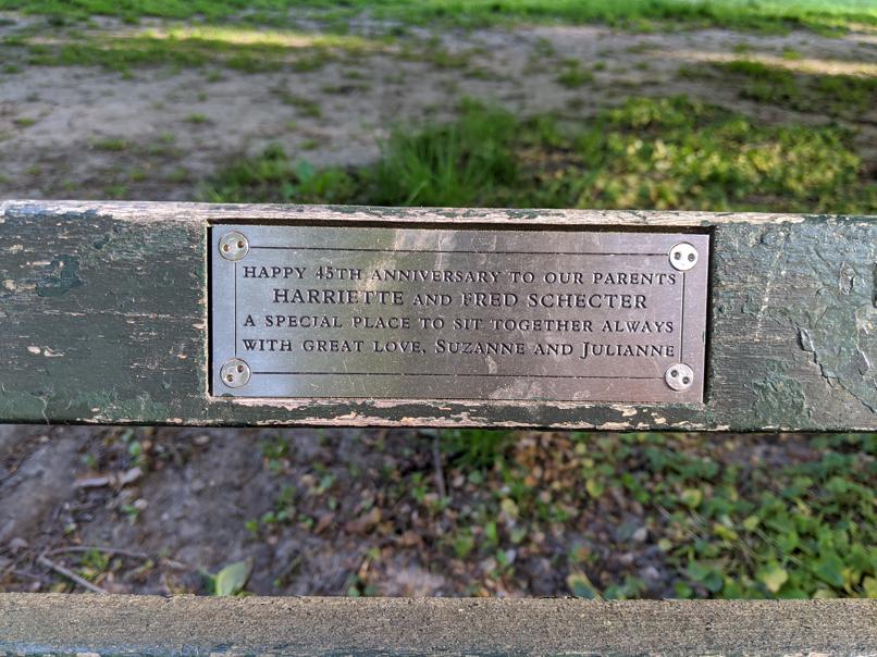 I saw this bench in Central Park