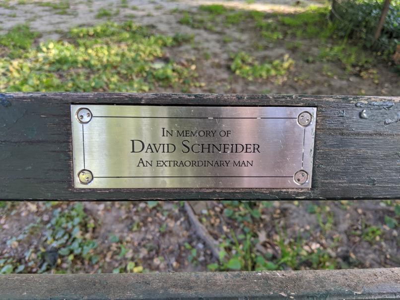 I saw this bench in Central Park