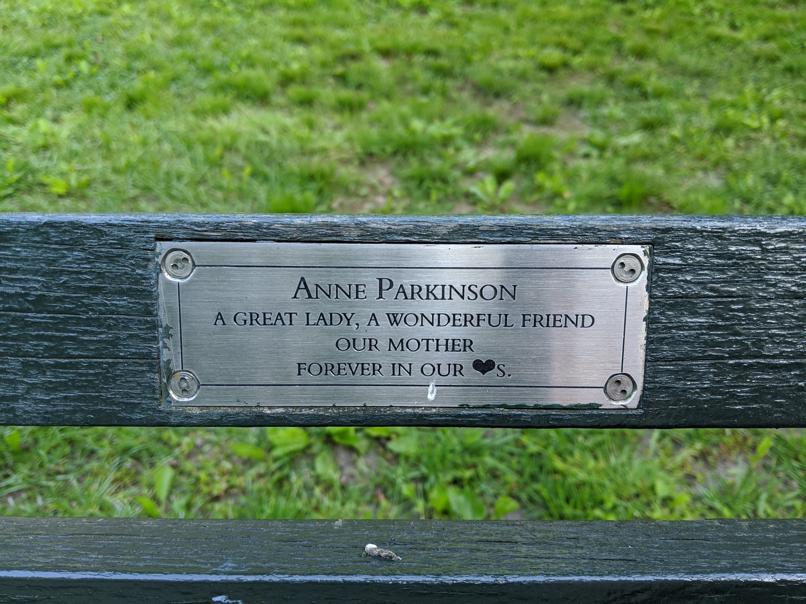 I saw this bench in Central Park