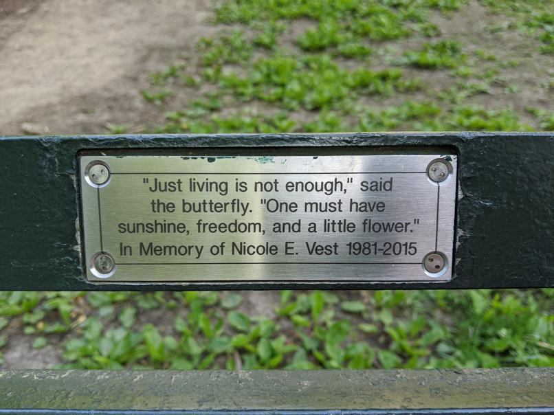 I saw this bench in Central Park