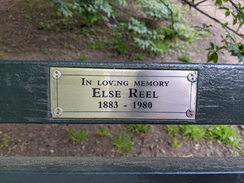 I saw this bench in Central Park