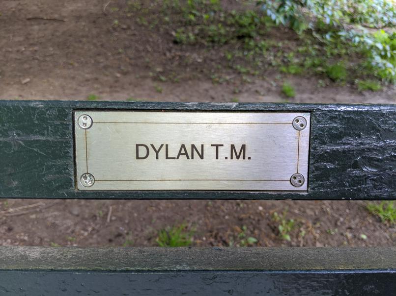 I saw this bench in Central Park