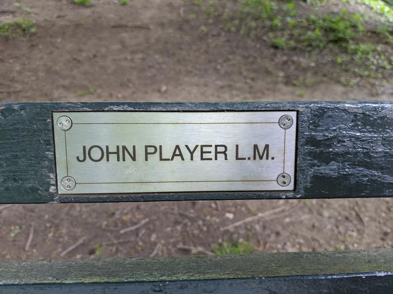 I saw this bench in Central Park