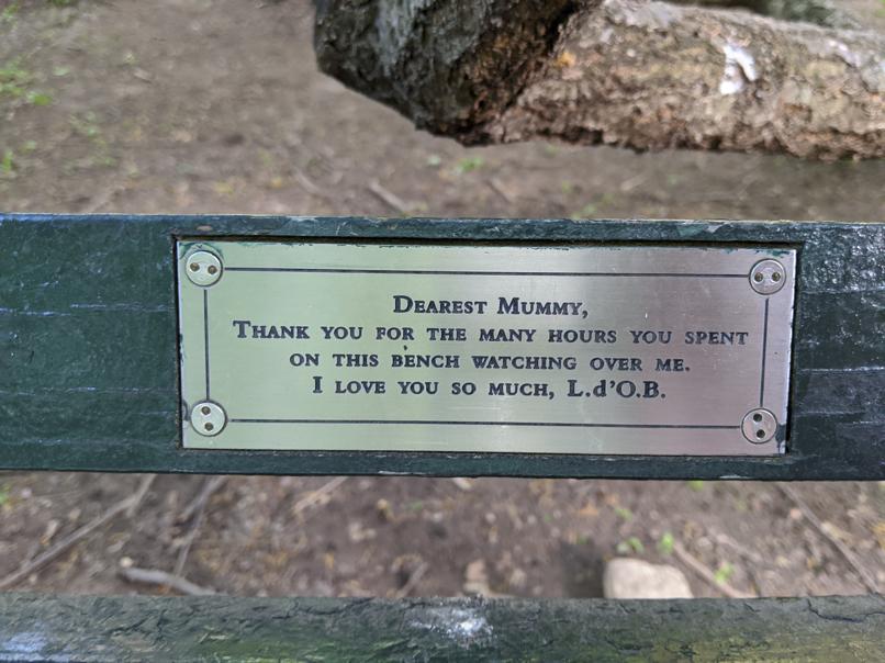 I saw this bench in Central Park