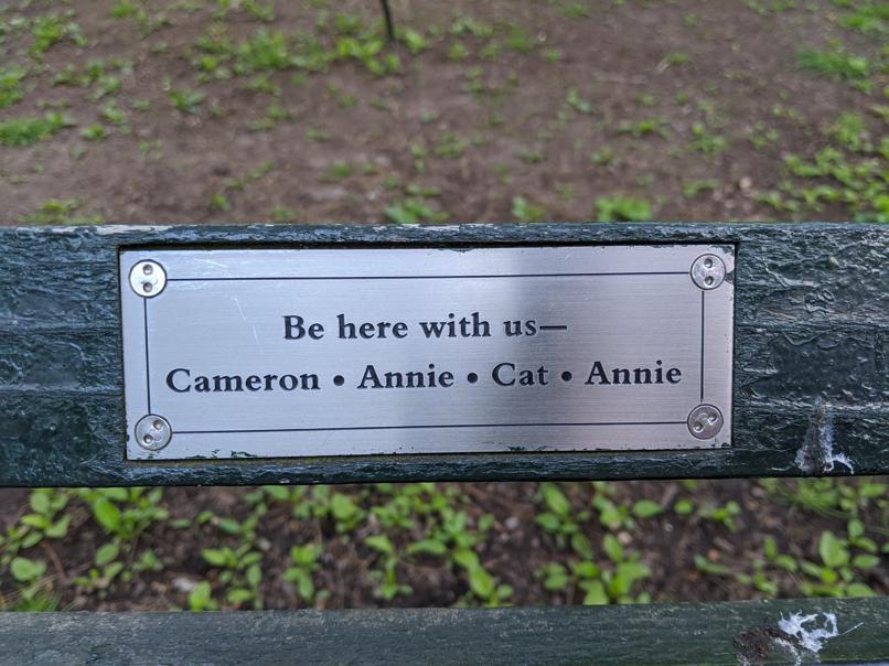 I saw this bench in Central Park