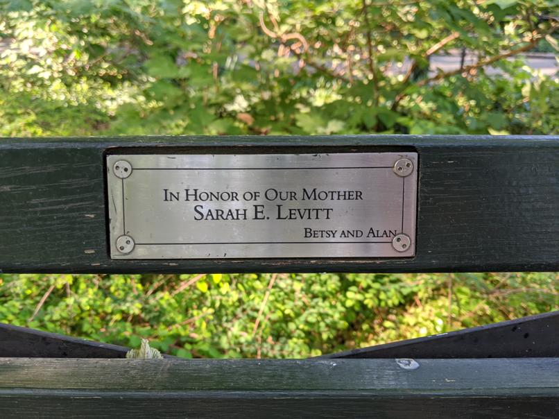 I saw this bench in Central Park