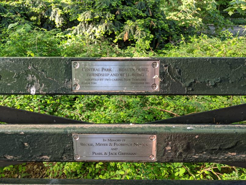 I saw this bench in Central Park