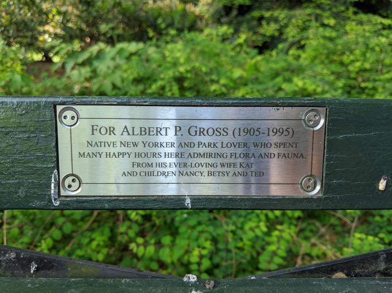 I saw this bench in Central Park