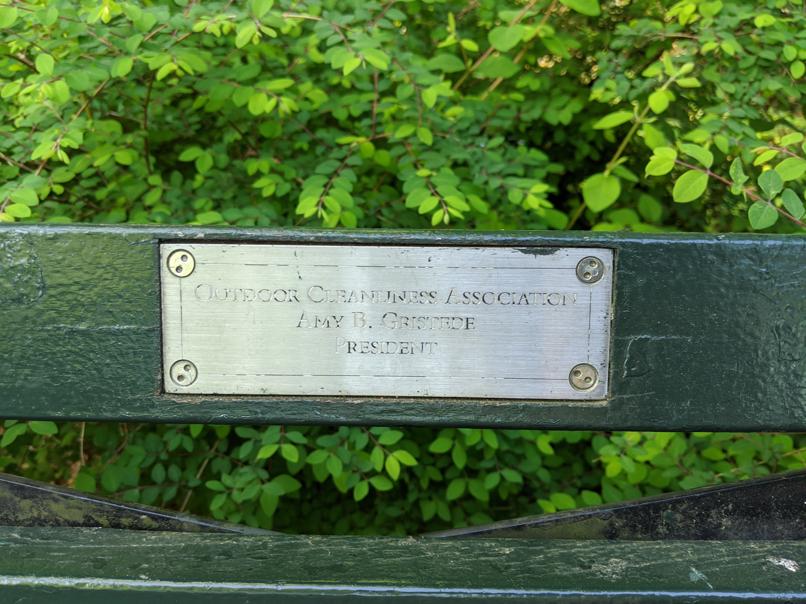 I saw this bench in Central Park