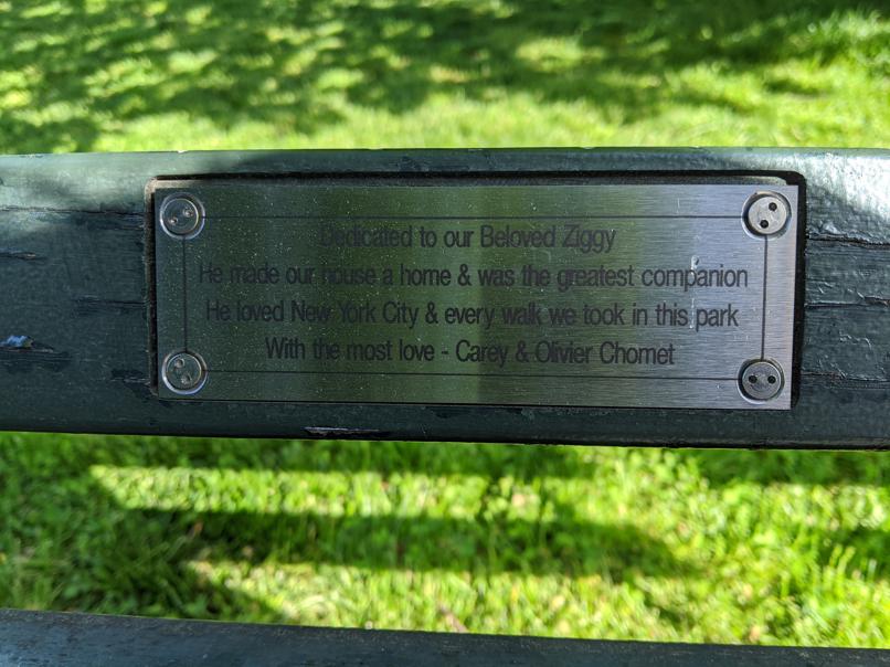 I saw this bench in Central Park