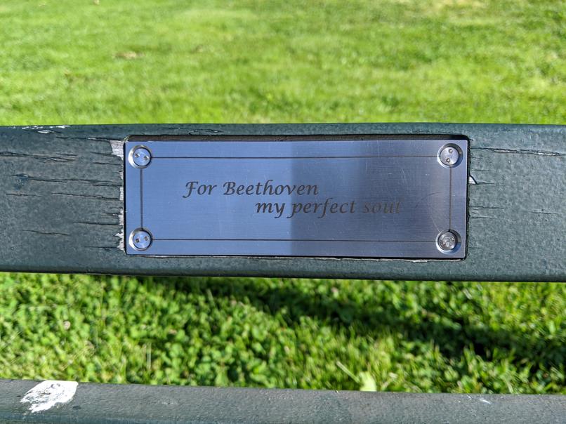 I saw this bench in Central Park