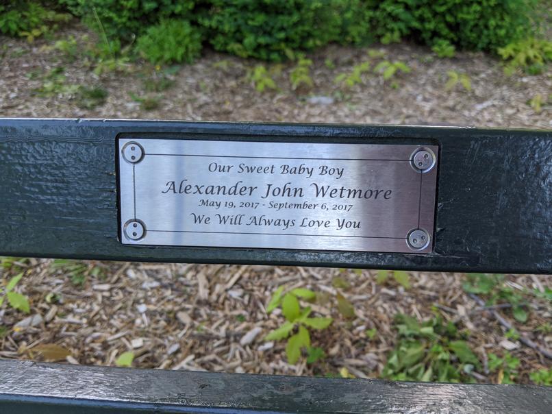 I saw this bench in Central Park