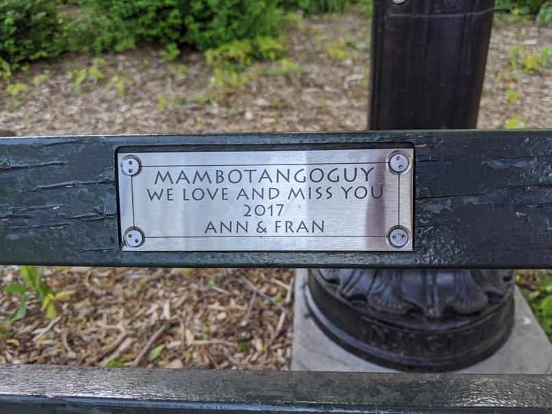 I saw this bench in Central Park