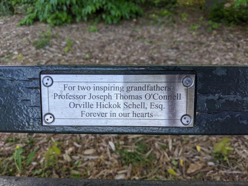 I saw this bench in Central Park