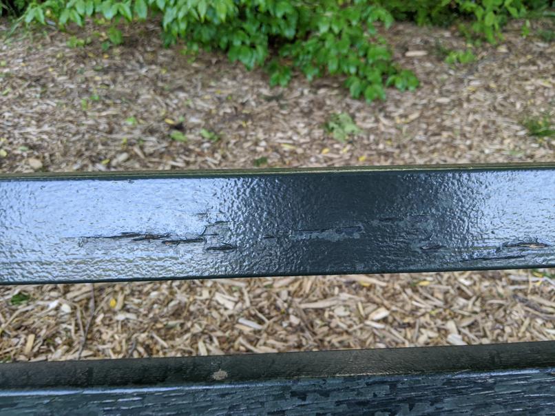 I saw this bench in Central Park