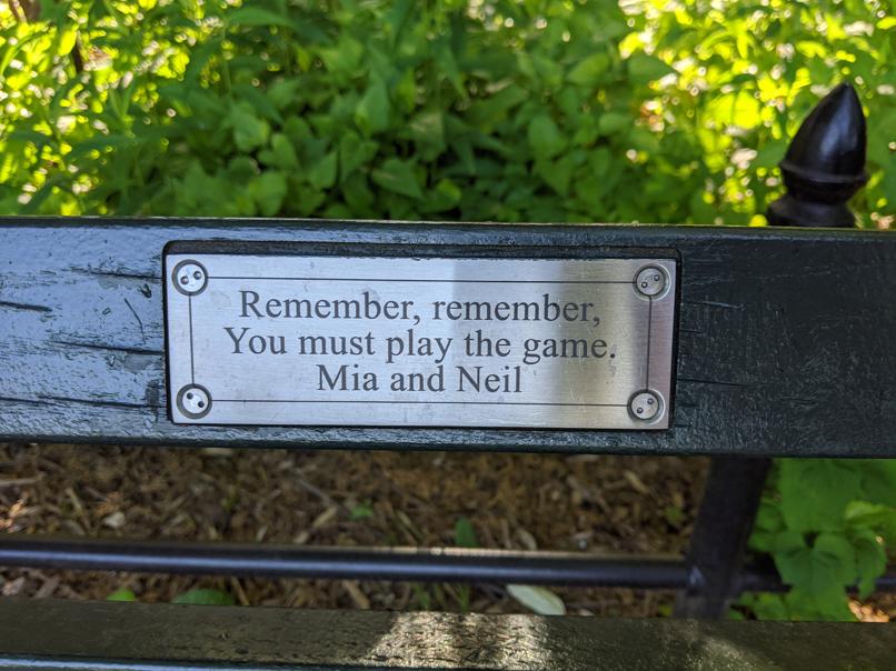 I saw this bench in Central Park