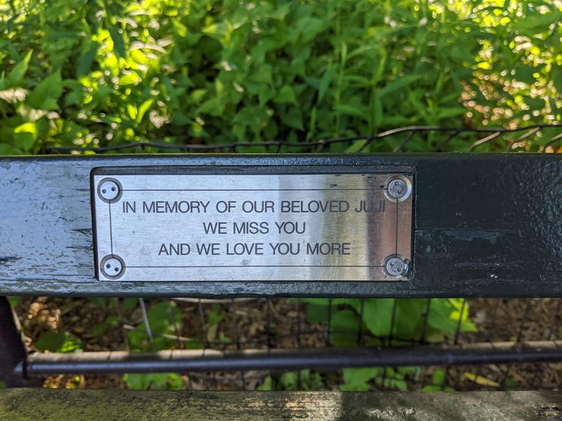 I saw this bench in Central Park