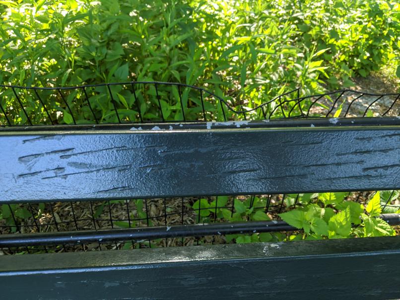 I saw this bench in Central Park