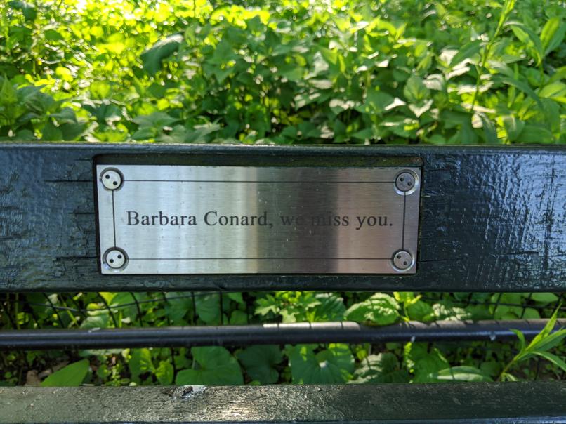 I saw this bench in Central Park