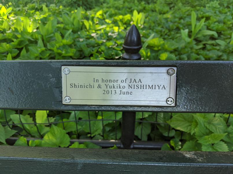 I saw this bench in Central Park