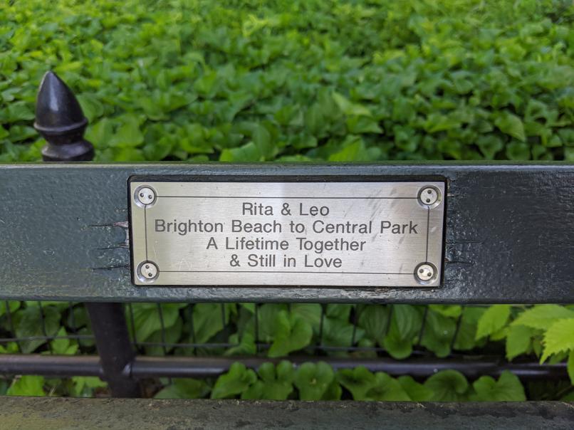 I saw this bench in Central Park