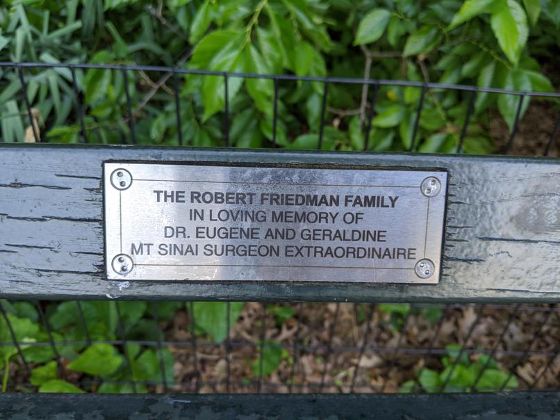 I saw this bench in Central Park